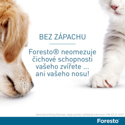 Foresto obojek 38cm pro malé psy a kočky