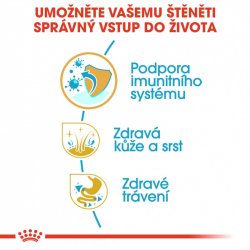Royal Canin Golden Retriever Junior