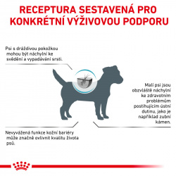 Royal Canin VD Dog Skin Care Adult Small Dog