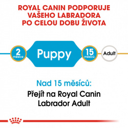 Royal Canin Labrador Retriever Puppy