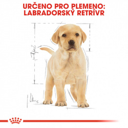 Royal Canin Labrador Retriever Puppy