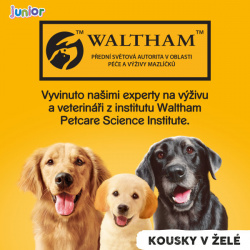 Pedigree konzerva Junior kuřecí v želé_new