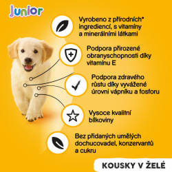 Pedigree konzerva Junior kuřecí v želé_new
