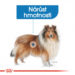 Royal Canin Maxi Light