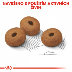 Royal Canin Maxi Light