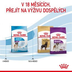 Royal Canin Giant Junior