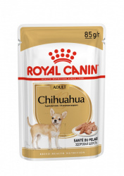 Royal Canin Adult Chihuahua kapsičky