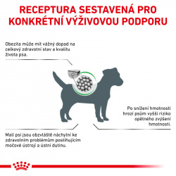 Royal Canin Veterinary Diet Dog Satiety Small