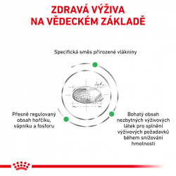 Royal Canin Veterinary Diet Dog Satiety Small