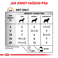 Royal Canin VHN Dog Urinary S/O Gravy
