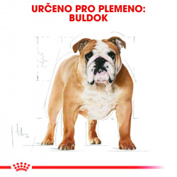 Royal Canin Buldog Adult