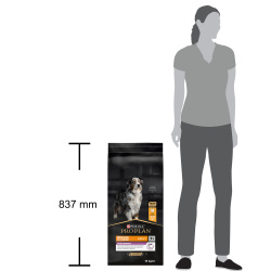 Pro Plan Medium & Large 7+ Age Defence Chicken