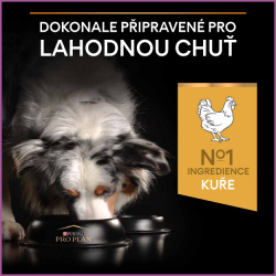 Pro Plan Medium & Large 7+ Age Defence Chicken