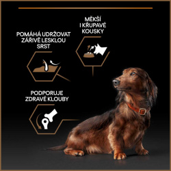 Pro Plan Small & Mini Duo Délice 