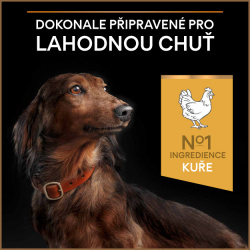 Pro Plan Small & Mini Duo Délice 