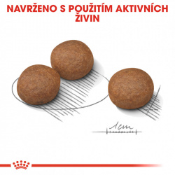 Royal Canin Medium Digestive Care