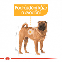 Royal Canin Medium Dermacomfort