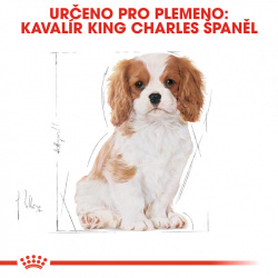 Royal Canin Cavalier King Charles Puppy