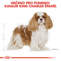 Royal Canin Cavalier King Charles adult