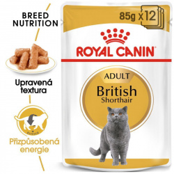 Royal Canin Cat British Short Hair 