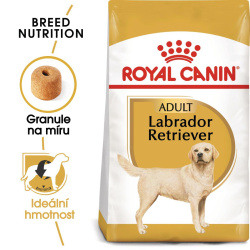 Royal Canin Labrador Retriever Adult