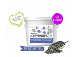 Dromy Gastroheal 