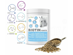 Dromy Biotin Forte 