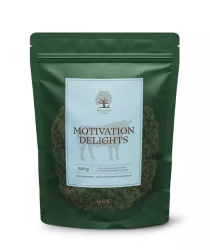 Essential Motivation Delights 500g