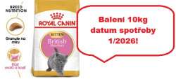 Royal Canin British Shorthair Kitten 