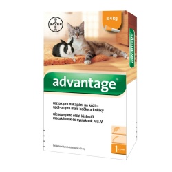 Advantage 40 10% 1x0,4ml Cat 0-4kg