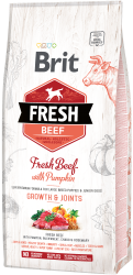 Brit Fresh Beef with Pumpkin Puppy Large_NEW