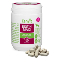 Canvit Biotin Maxi Tbl.