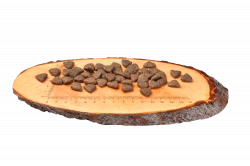 Carnilove Dog Salmon-granule