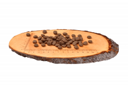 Carnilove Dog Salmon & Turkey for Large Breed Puppy_granule