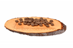 Carnilove Dog Salmon & Turkey for Puppies_granule