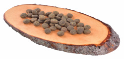 Carnilove dog True Fresh Fish  Adult_granule
