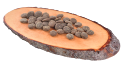 Carnilove dog True Fresh Turkey Adult_granule