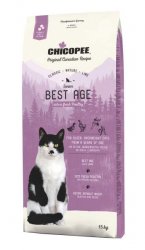 Chicopee Cat Senior Best Age 