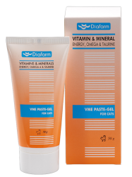 Diafarm Vitamin&Mineral Energy Paste-Gel + ...