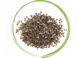 Dromy Chia semínka 500g