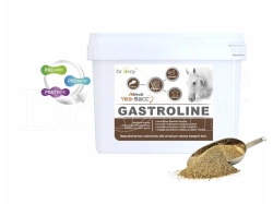 Dromy Gastroline
