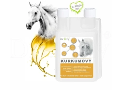 Dromy Kurkumový sirup