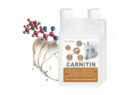 Dromy L-Carnitin sirup 1l