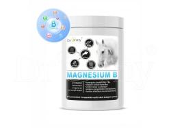 Dromy Magnesium B 