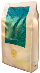 Essential Foods Stamina_new