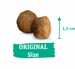 Green Petfood Insect Dog Sensitive_granule