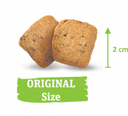 Green Petfood Veggie Dog Grainfree_gfop