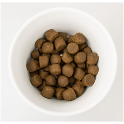 Happy Dog Profi Gold 26/20 Power_gra