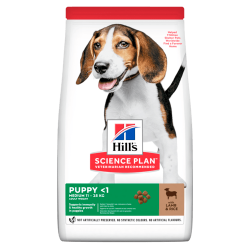Hill's Canine Puppy Medium Lamb