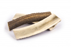 Jelení paroží Easy L 